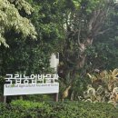 가-16 | 경기도 아이랑 무료로 가볼만한곳 국립농업박물관 후기 | 5살·16개월 두딸