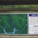 부평길주 이미지