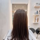 성실카클리닉