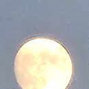 송리단펜션 이미지