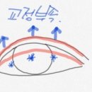 채종훈성형외과의원 이미지