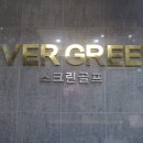 에버그린스크린골프 네이버블로그