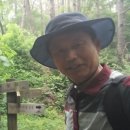화령장여관 Daum카페