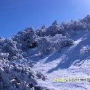제주항연안여객터미널 이미지
