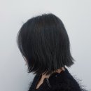 도블헤어 이미지