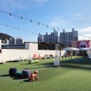 메디팜센텀약국 이미지