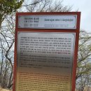 장승포시외버스터미널 이미지