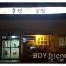 용성꿩농장 이미지