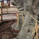 동부마을 공중화장실 이미지