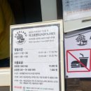 태신목장 | 수레국화 보러 다녀온 &lt;아그로랜드 태신 목장&gt; 솔직 방문 후기