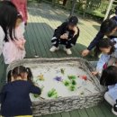 인천나비공원 이미지