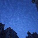 동구릉로6번길9 이미지