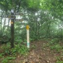 서해랑길 42코스 이미지