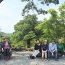 몽돌회