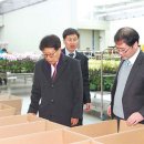 한국화훼농협산지유통센터