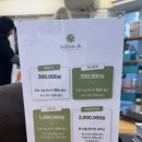 살롱에이 연산점