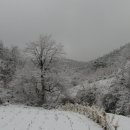 오리나들이 이미지