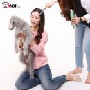 코리아동물약품 이미지