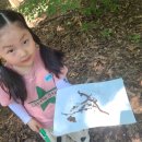 에덴키즈어린이집 이미지