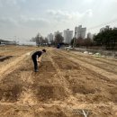 은비치농장 이미지