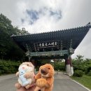 금강산 신선대 화암사 코스 등반 후기 (날씨 • 경로 • 시간 정보 공유)