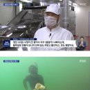 드림베스