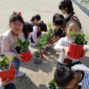 대구월성초등학교 이미지