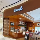 신세계백화점센텀시티 이미지