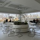 이천 분위기 좋은 브런치 카페 추천! 카페 &#39;55도&#39; 내돈내산 후기