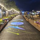 국화전시회 버스킹 문화공연 이미지