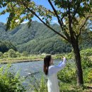 매음목장 | 강원도 평창 호텔 추천 :: 평창 더화이트 호텔앤리조트 , 주니어스위트 트윈 객실 후기