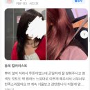 (주)동욱 | 파주 탈색 전문 미용실, 동욱 디자이너가 완성한 말린 장미색 염색 과정+ 후기