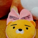 인형뽀끼 이미지