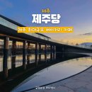 대동태양광농장 | 제주 최대 규모 카페 애월 제주당 내돈내산 솔직후기