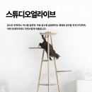 냥냥하우스 이미지