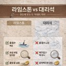 다윈스톤 이미지