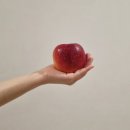 애드윈 - 광진구 동일로20길 56 | [공지] 오산 오색시장 과일야채가게 추천 | 가성비 최고 가게는 여기!