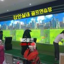 강인스크린골프 이미지