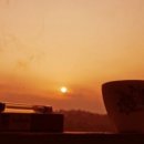 진커피숲 이미지