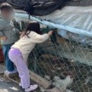 다은농장 이미지