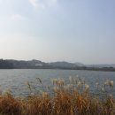 오송고등학교 이미지