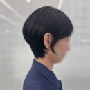 위해브헤어 이미지