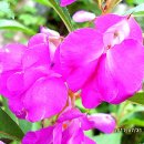 정다운일터 이미지