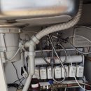 고니미미 이미지