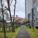 뒤뜰공원 이미지