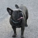 말랑말랑 이미지