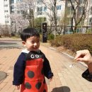 아이뚜리 이미지