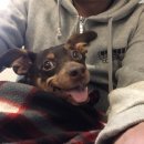 24시 쓰담쓰담 동물메디컬센터 이미지