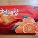 현승농장 이미지