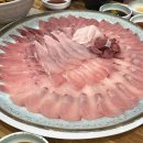 방어축제거리 티스토리